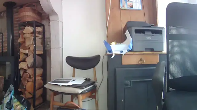 Snapshot of phlox3 chatting on September 2025 10:31:02 AM phlox3 online show from September 2025 10:31:02 AM