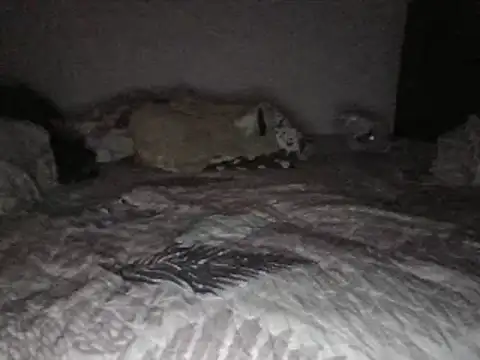 bscc online show from January 2025 12:07:02 PM