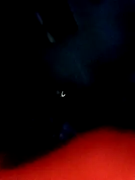 ExoticCarpark online show from November 2025 06:30:02 PM