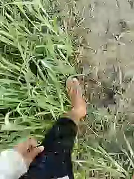 ThethunderPo online show from February 2025 01:51:01 AM