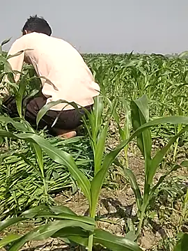 ThethunderPo online show from March 2025 04:25:02 AM