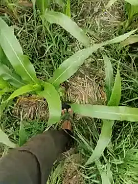 ThethunderPo online show from March 2026 04:29:02 AM