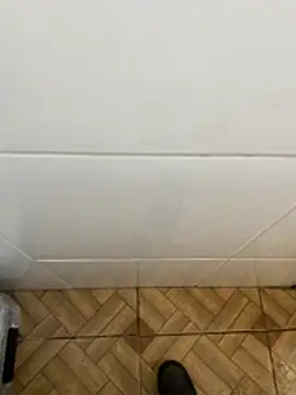 Snapshot of descret_19 chatting on February 2026 02:55:01 PM descret 19 online show from February 2026 02:55:01 PM