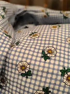 geilerboy2628 online show from March 2026 02:07:02 AM