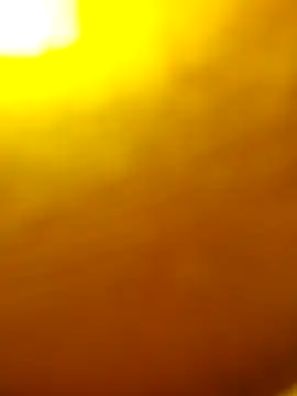 salonidesimaal online show from February 2025 09:43:01 AM