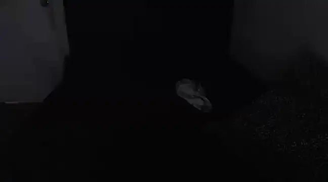 Chanelsexyy online show from March 2025 08:43:02 PM