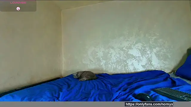 Snapshot of angeliquevany chatting on December 2025 06:58:01 PM angeliquevany online show from December 2025 06:58:01 PM