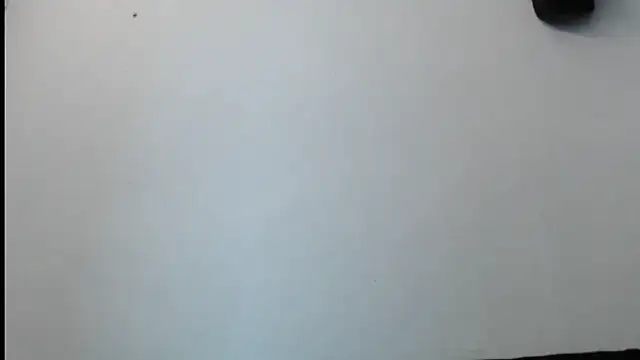 Snapshot of SebastianReiss chatting on February 2025 01:29:02 AM SebastianReiss online show from February 2025 01:29:02 AM