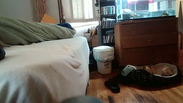 jumpingtomflash online show from April 2026 02:01:01 AM