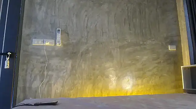 Snapshot of nareethai chatting on January 2025 06:33:01 AM nareethai online show from January 2025 06:33:01 AM