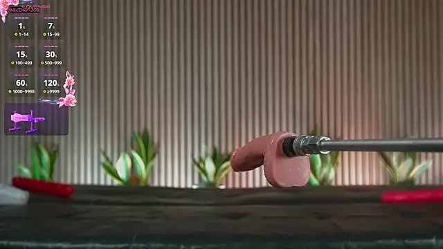 Snapshot of NiceHotJob chatting on March 2025 09:54:02 PM NiceHotJob online show from March 2025 09:54:02 PM