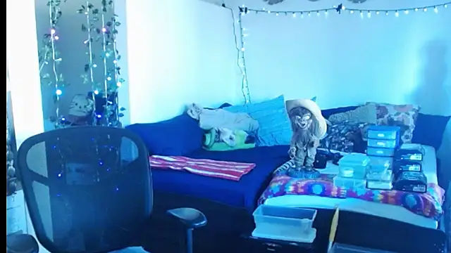 mycock2474u online show from February 2025 03:38:01 PM