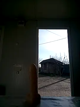 david geam online show from March 2025 06:42:02 AM