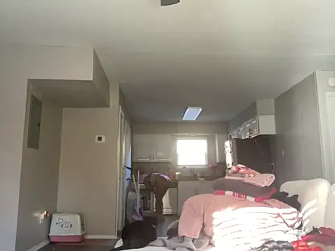 bunnypillow online show from November 2025 03:00:02 PM