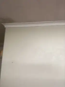 LuciousLips96 online show from November 2025 04:19:01 PM