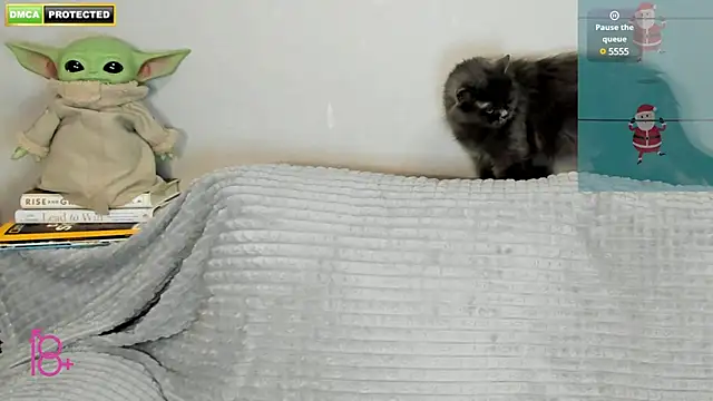 3ight33nplus online show from December 2024 07:31:02 PM