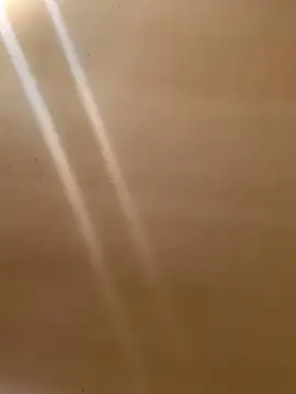 Tristris100 online show from March 2025 10:08:02 PM