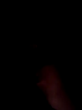 Latin summer online show from December 2024 11:40:01 PM