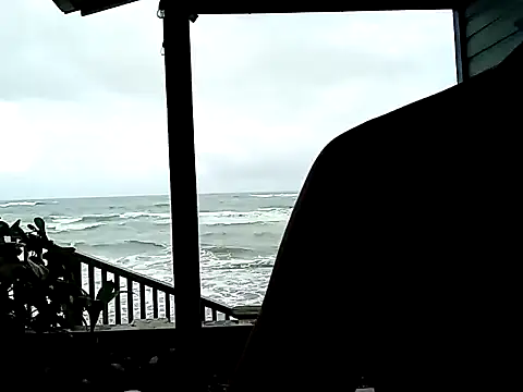 Luna-Natural online show from December 2024 04:40:02 PM