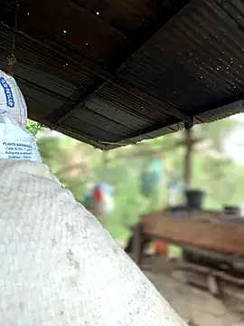 Ixchel Anaid online show from October 2025 02:18:01 PM