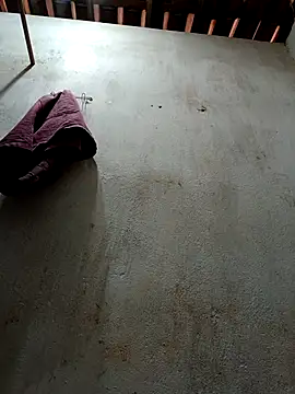 Daniellhck online show from November 2025 12:05:02 PM