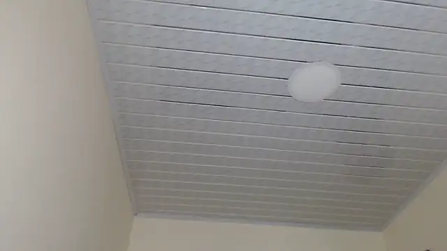 adrixxx38 online show from November 2025 07:37:01 PM