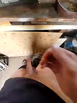 bighornycockup online show from December 2024 11:35:01 PM