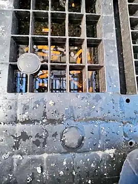 Snapshot of Ethangay chatting on March 2026 06:47:01 AM Ethangay online show from March 2026 06:47:01 AM