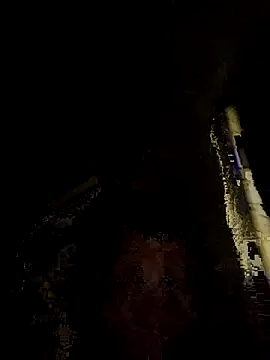 tropikboy online show from November 2025 12:10:01 AM