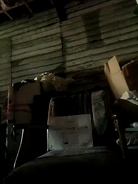 FUNINWV9 online show from December 2025 01:36:01 AM