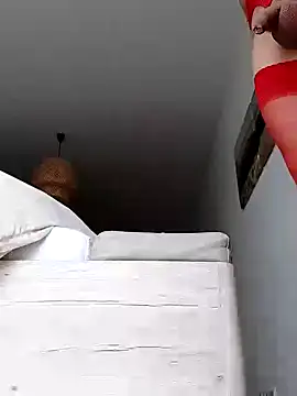 Snapshot of mister-dwt chatting on December 2024 02:11:01 PM mister-dwt online show from December 2024 02:11:01 PM