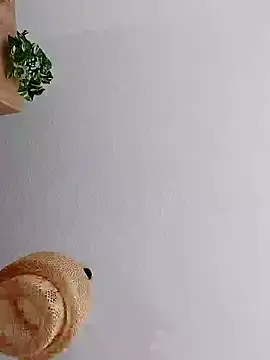 Snapshot of mister-dwt chatting on January 2025 12:05:01 PM mister-dwt online show from January 2025 12:05:01 PM