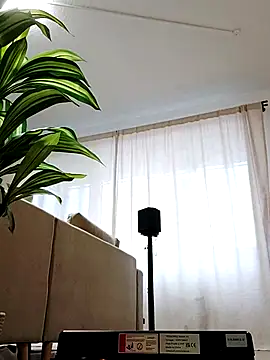 Snapshot of mister-dwt chatting on February 2025 06:47:02 AM mister-dwt online show from February 2025 06:47:02 AM