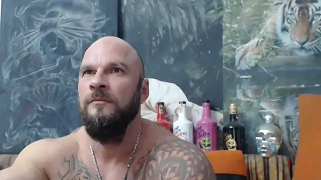 viking 30 online show from September 2025 06:08:02 PM