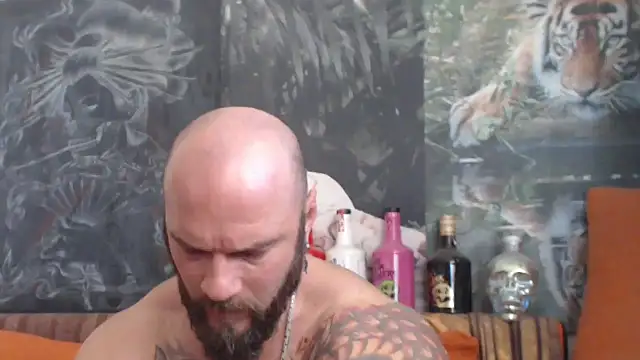 viking 30 online show from October 2025 08:15:02 AM