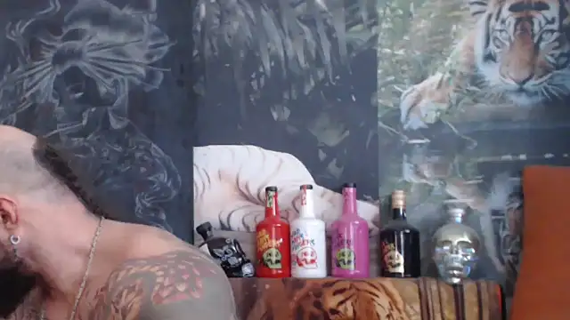 viking 30 online show from November 2025 08:03:02 AM