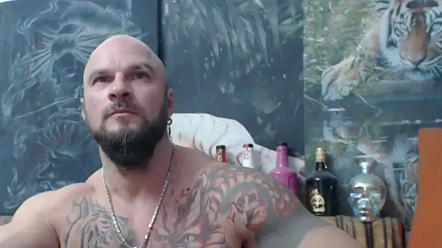 viking 30 online show from November 2025 07:45:02 PM