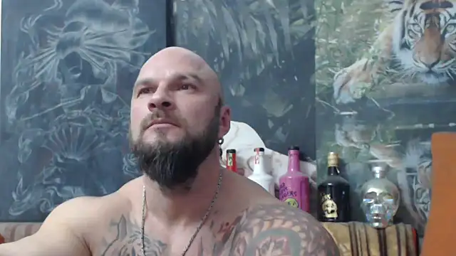 viking 30 online show from November 2025 07:24:01 PM