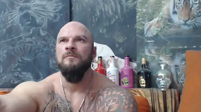 viking 30 online show from November 2025 07:56:01 PM