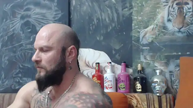 viking 30 online show from November 2025 07:36:02 PM