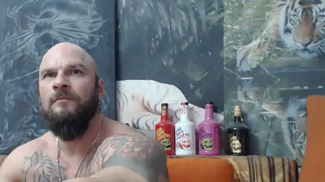 viking 30 online show from November 2025 07:49:02 PM