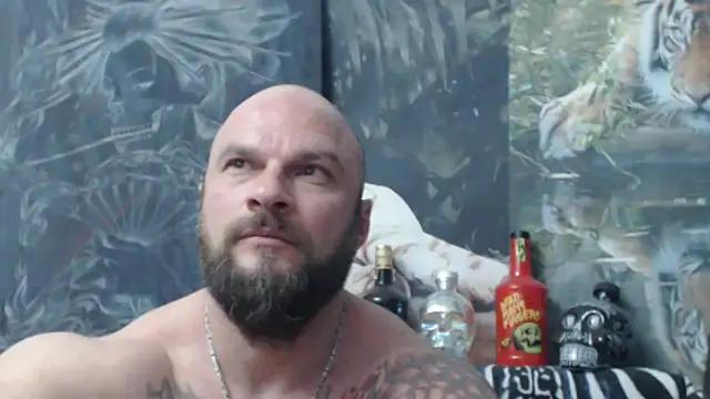 viking 30 online show from May 2026 06:50:01 PM