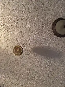 danieldonte online show from April 2026 12:51:02 PM