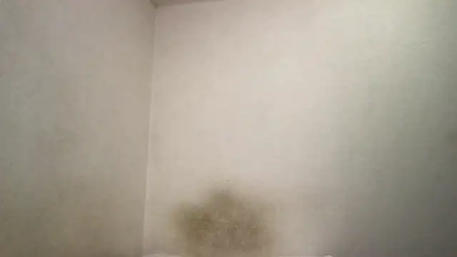 Magicwordsforme online show from March 2025 12:25:02 AM