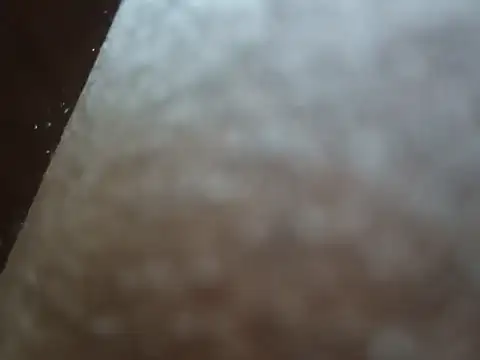 PrinceNoAlbert online show from December 2024 03:33:01 PM