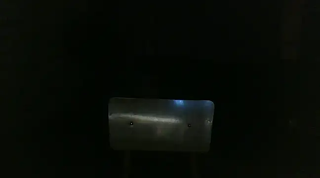 venenus online show from January 2025 01:05:02 AM