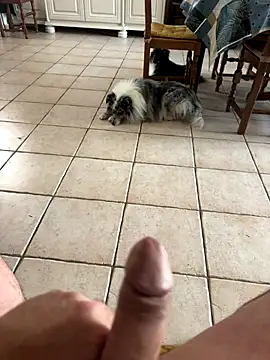 Loul41 online show from November 2025 03:03:01 PM