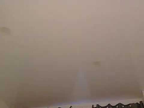 LionEdwin online show from December 2025 07:37:01 AM