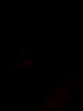 Snapshot of websterribeiro chatting on March 2026 03:45:02 AM websterribeiro online show from March 2026 03:45:02 AM