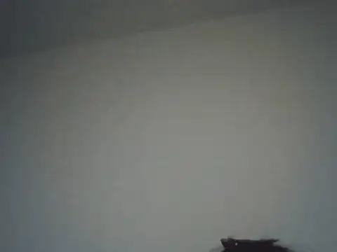 Snapshot of FallenDevil chatting on November 2025 08:14:01 PM FallenDevil online show from November 2025 08:14:01 PM